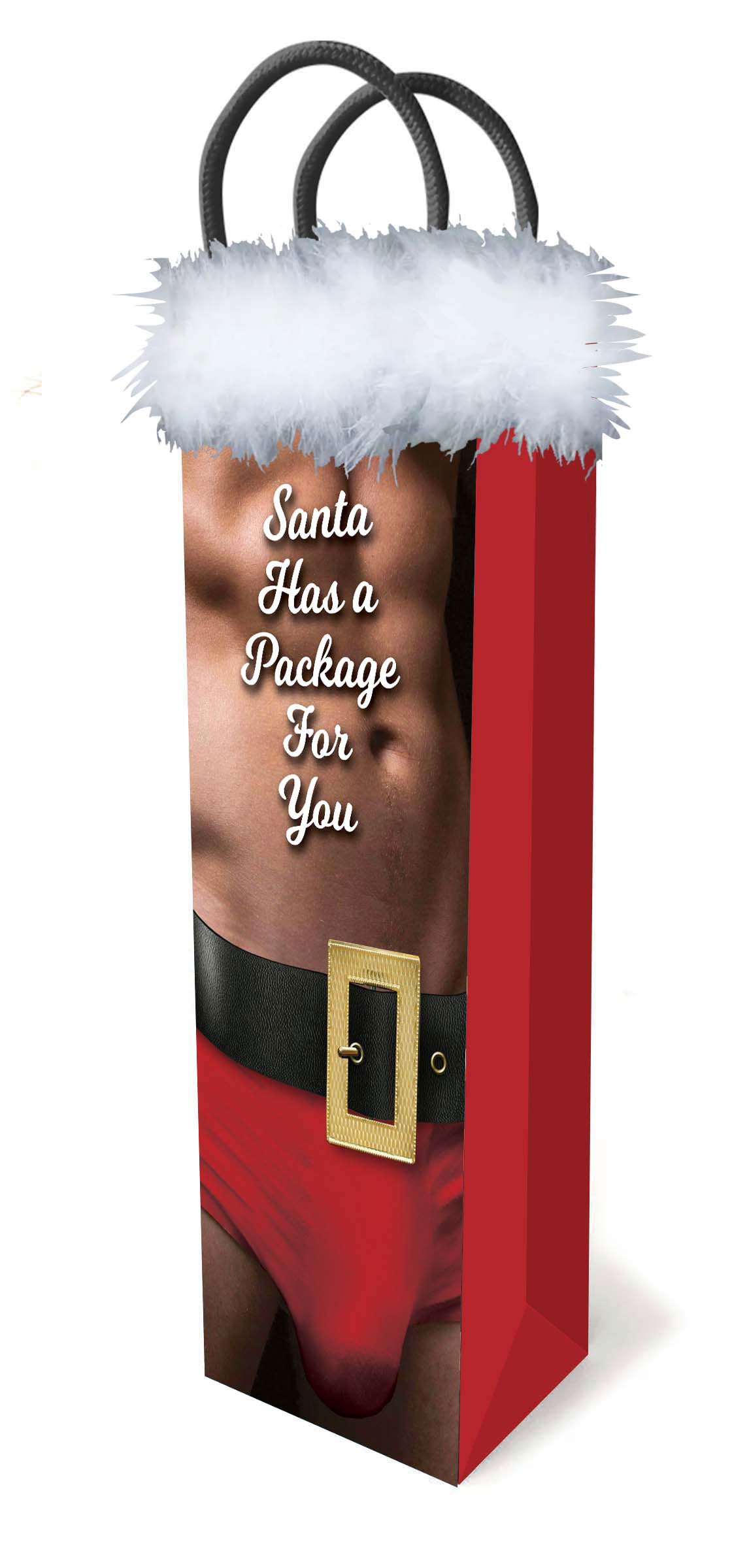 Santa Has a Big Package for You LG-LGP025