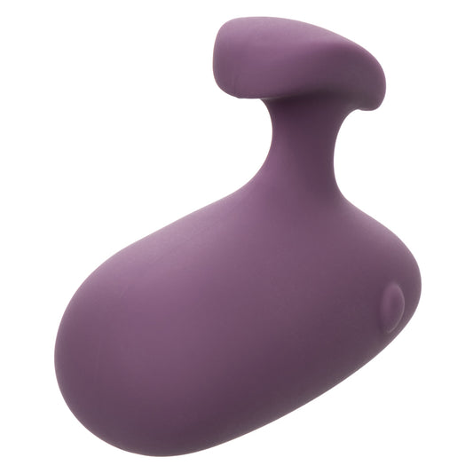 Mod Touch - Purple SE0009453